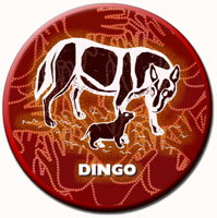 Aboriginal Dingo